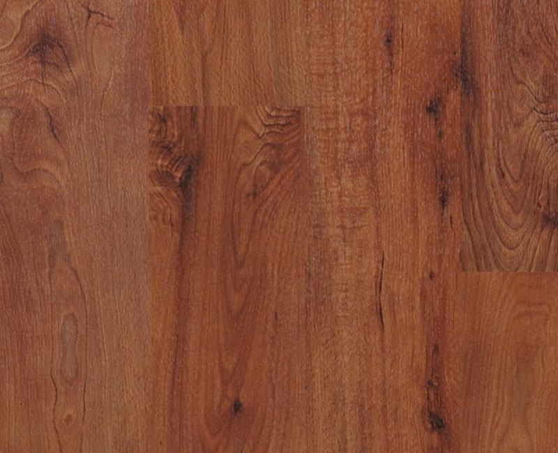 NEW MARKET 12 SHAW RESIL T&P 6 IN Burlington Elegant