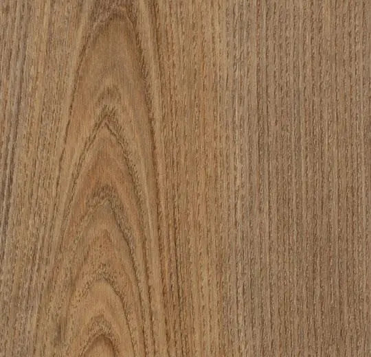 Eternal Step | Wood