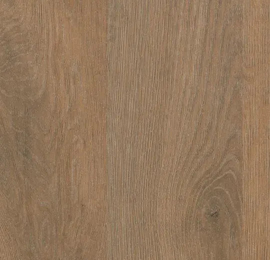 Eternal Step | Wood