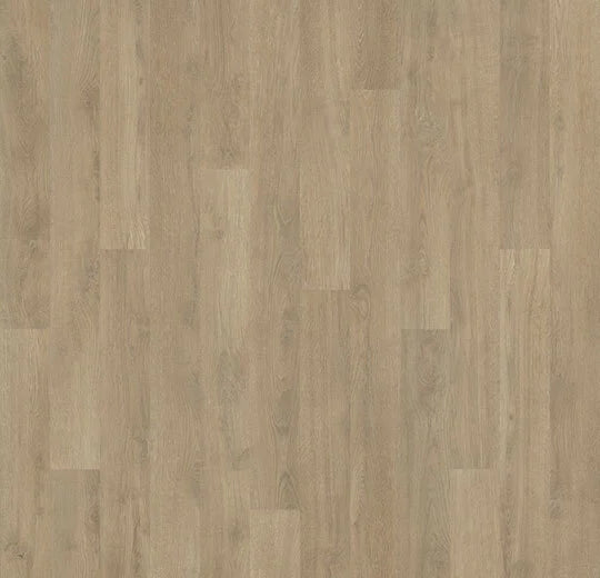 Eternal Step | Wood